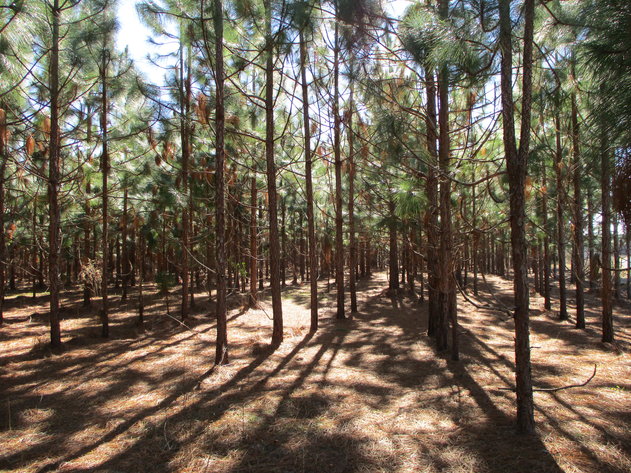 Image for ONLINE AUCTION - Thursday, March 3, 2022