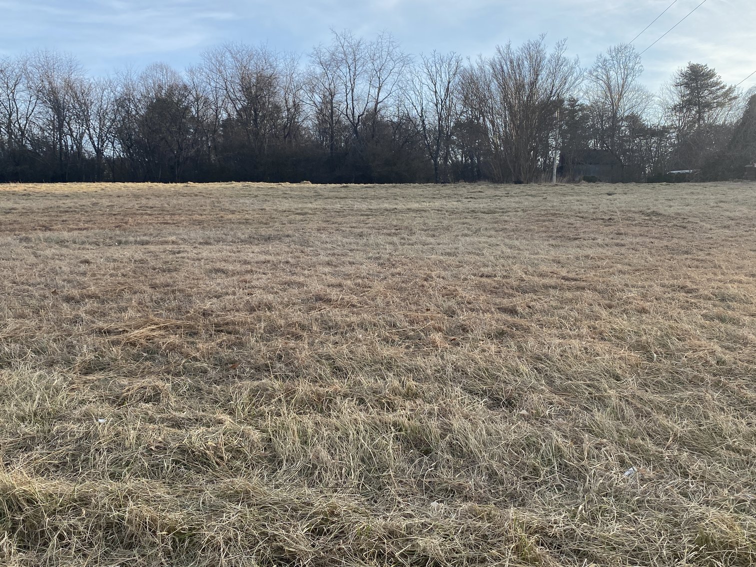 Image for Real Estate Auction - 23± Acres in Dobson, NC