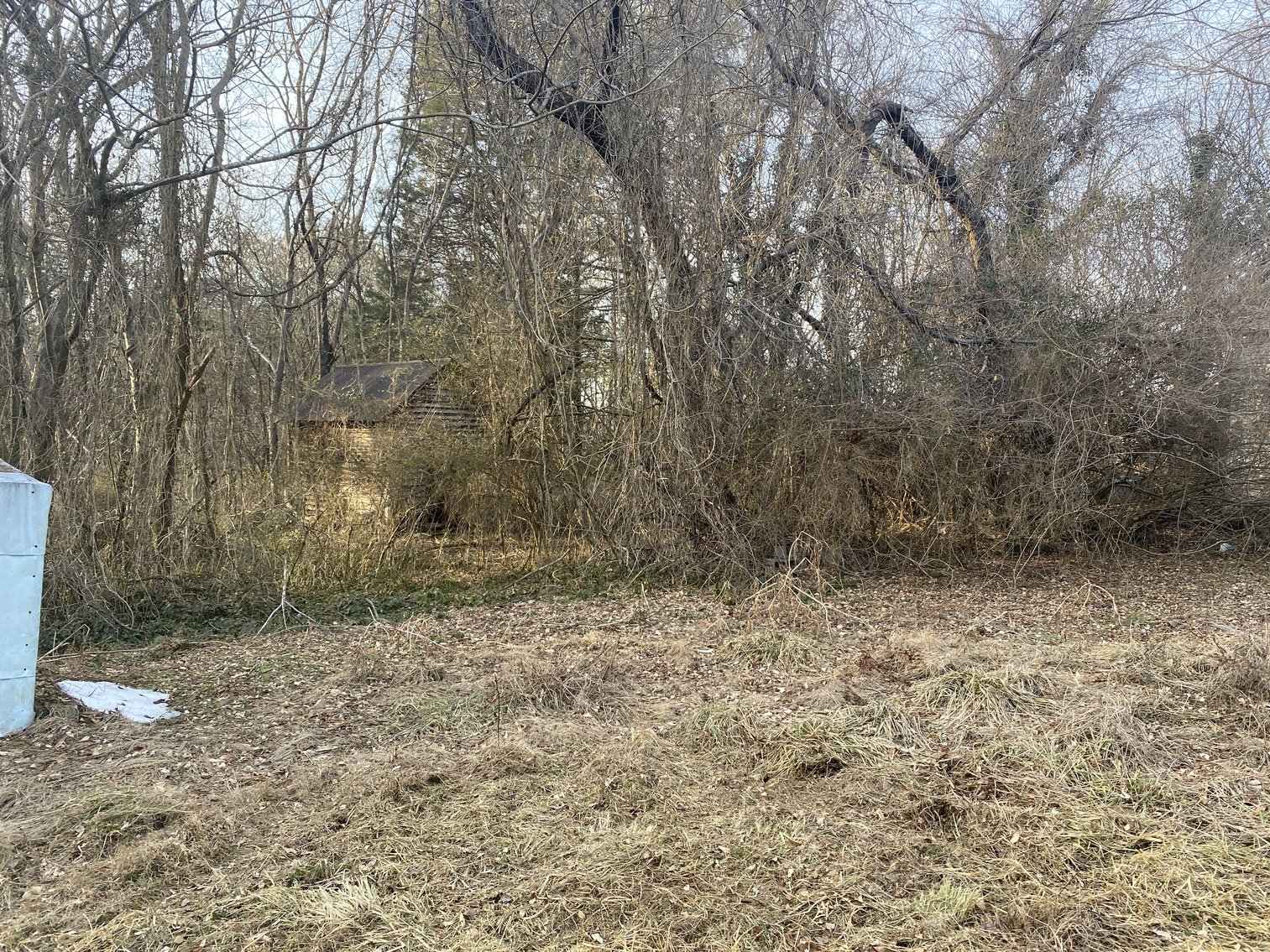 Image for Real Estate Auction - 23± Acres in Dobson, NC