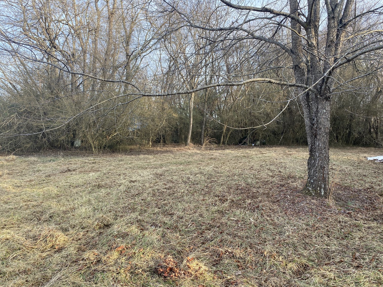 Image for Real Estate Auction - 23± Acres in Dobson, NC