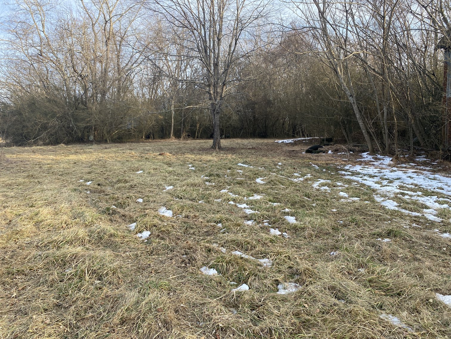 Image for Real Estate Auction - 23± Acres in Dobson, NC