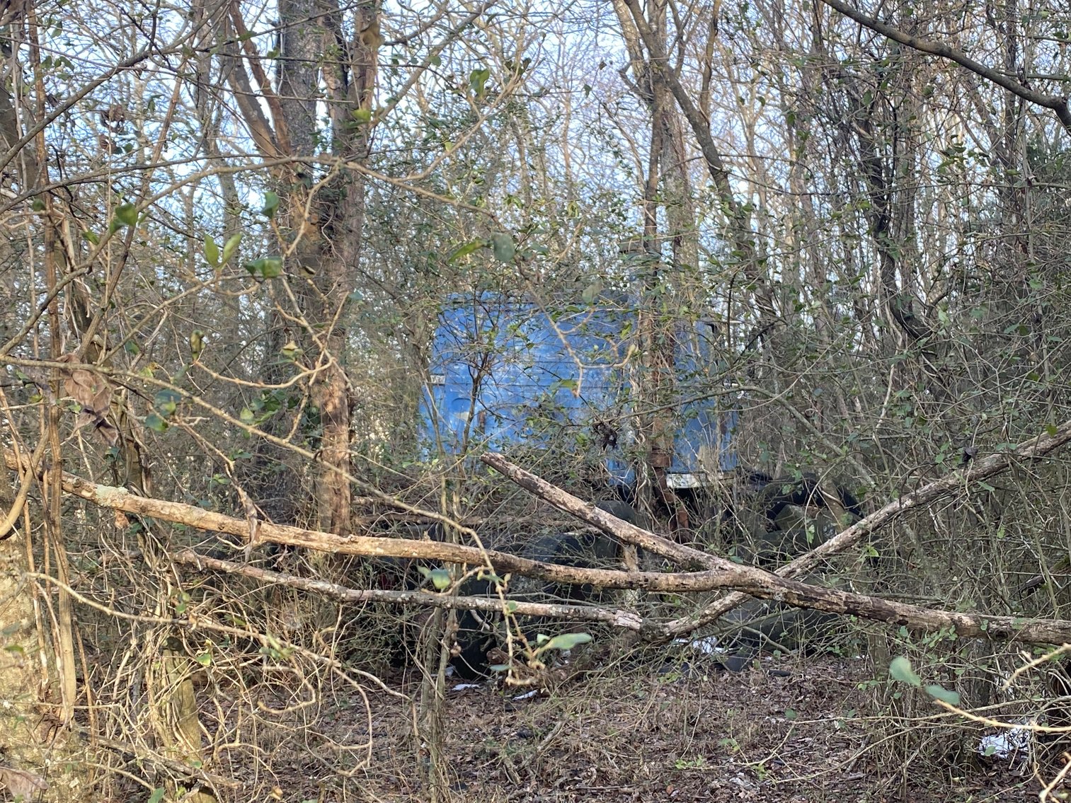 Image for Real Estate Auction - 23± Acres in Dobson, NC