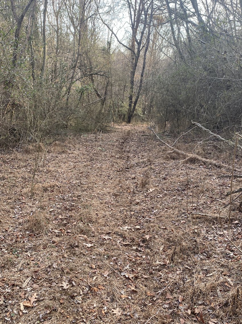 Image for Real Estate Auction - 23± Acres in Dobson, NC