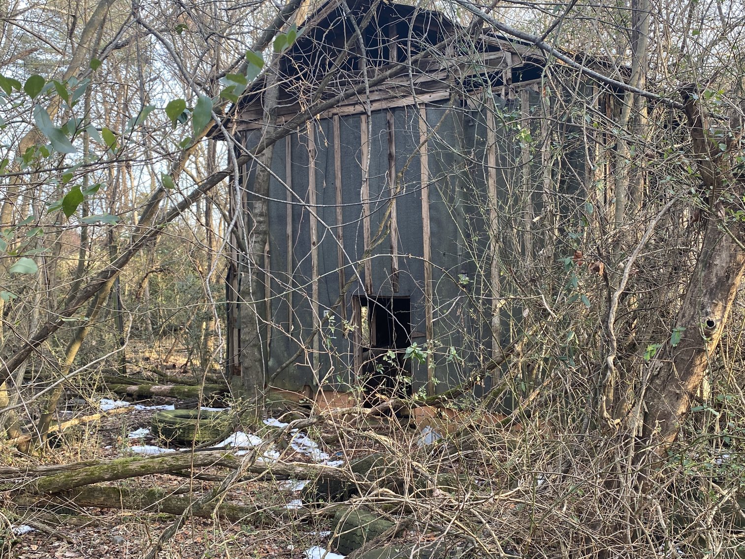 Image for Real Estate Auction - 23± Acres in Dobson, NC