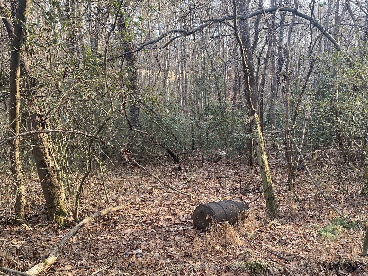 Image for Real Estate Auction - 23± Acres in Dobson, NC