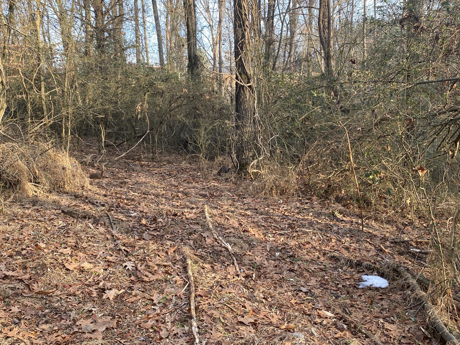 Image for Real Estate Auction - 23± Acres in Dobson, NC