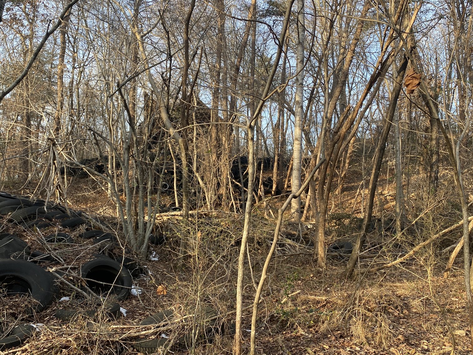 Image for Real Estate Auction - 23± Acres in Dobson, NC