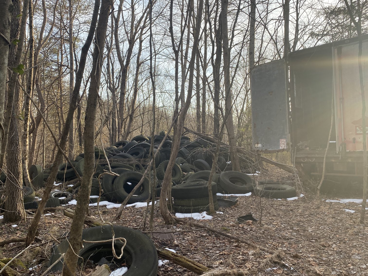 Image for Real Estate Auction - 23± Acres in Dobson, NC