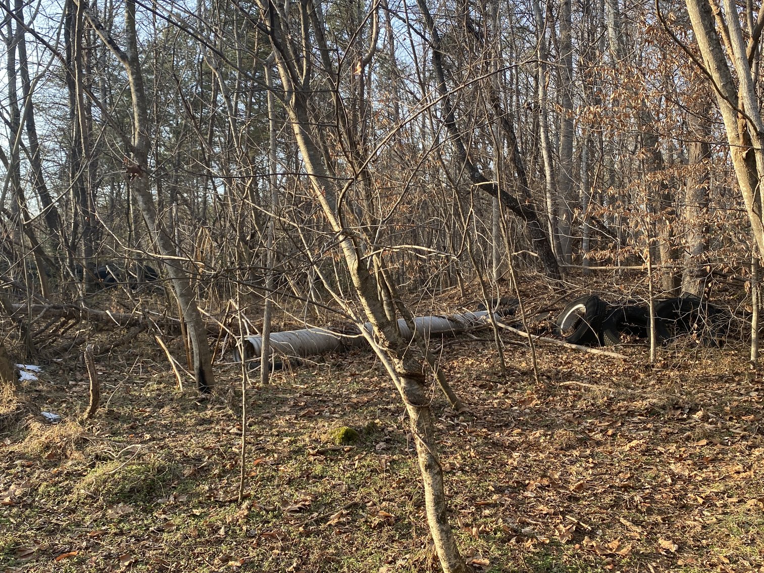 Image for Real Estate Auction - 23± Acres in Dobson, NC