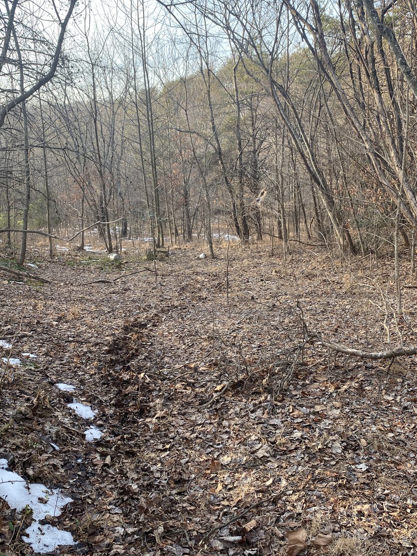 Image for Real Estate Auction - 23± Acres in Dobson, NC