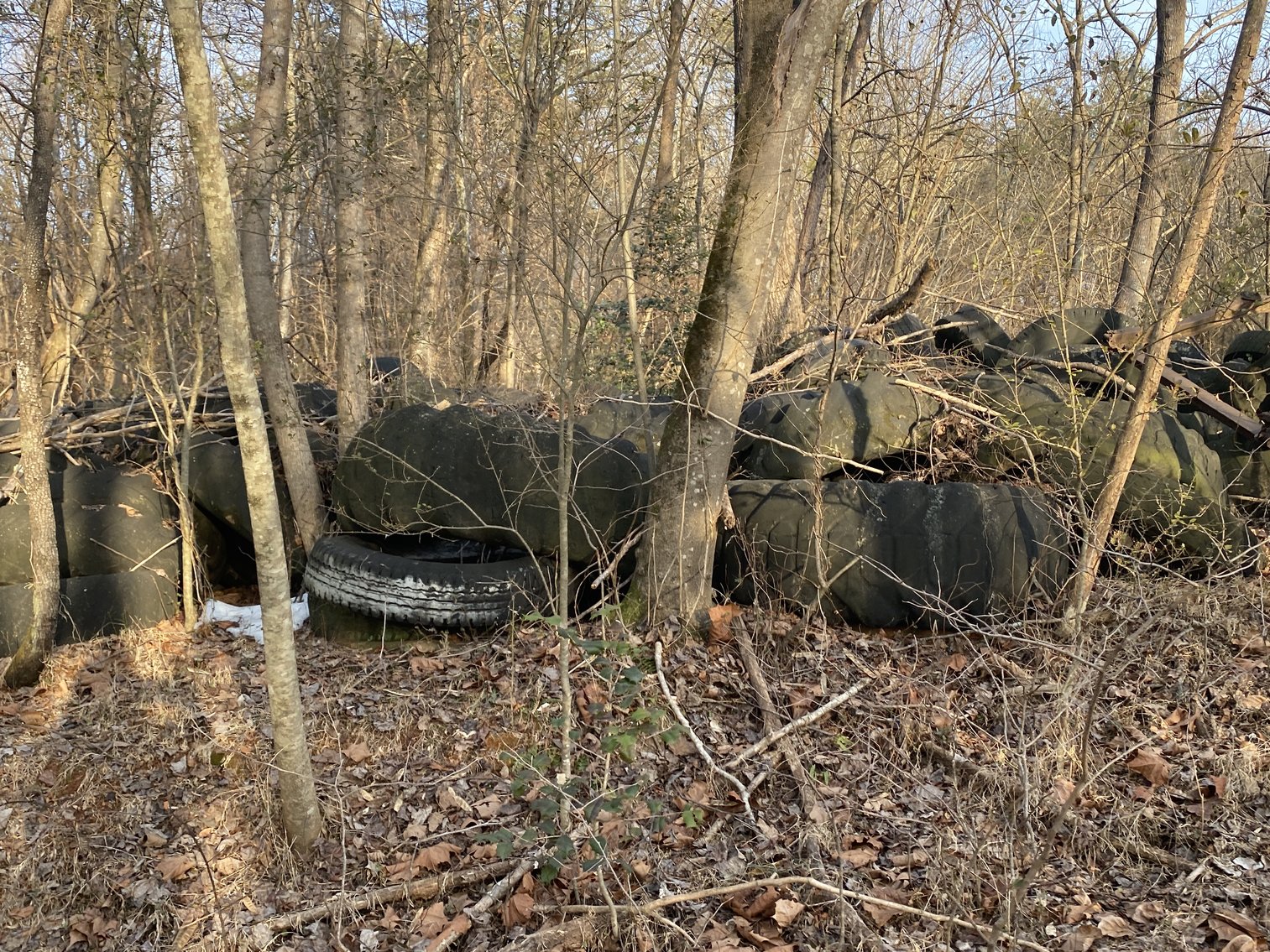 Image for Real Estate Auction - 23± Acres in Dobson, NC