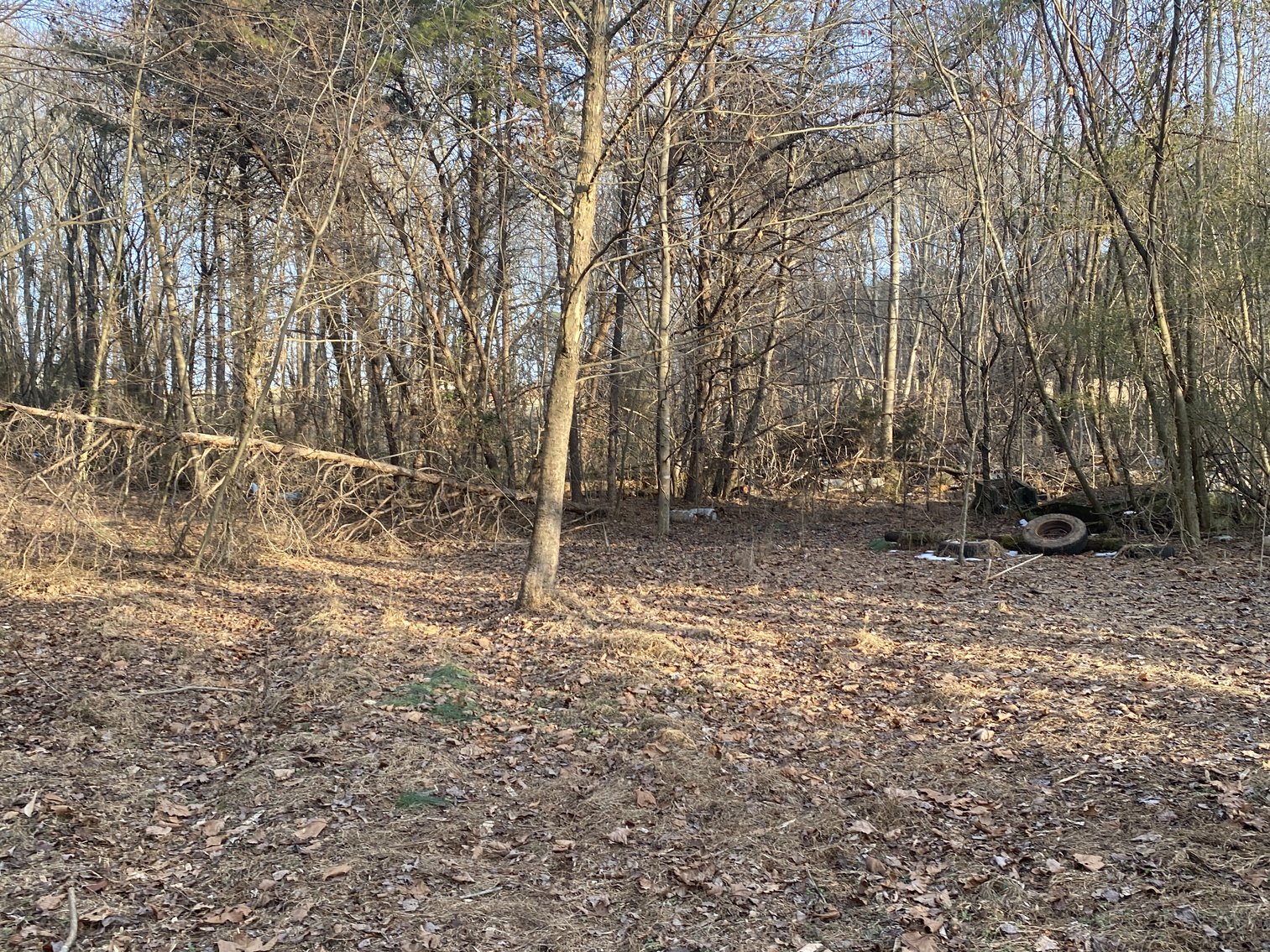 Image for Real Estate Auction - 23± Acres in Dobson, NC