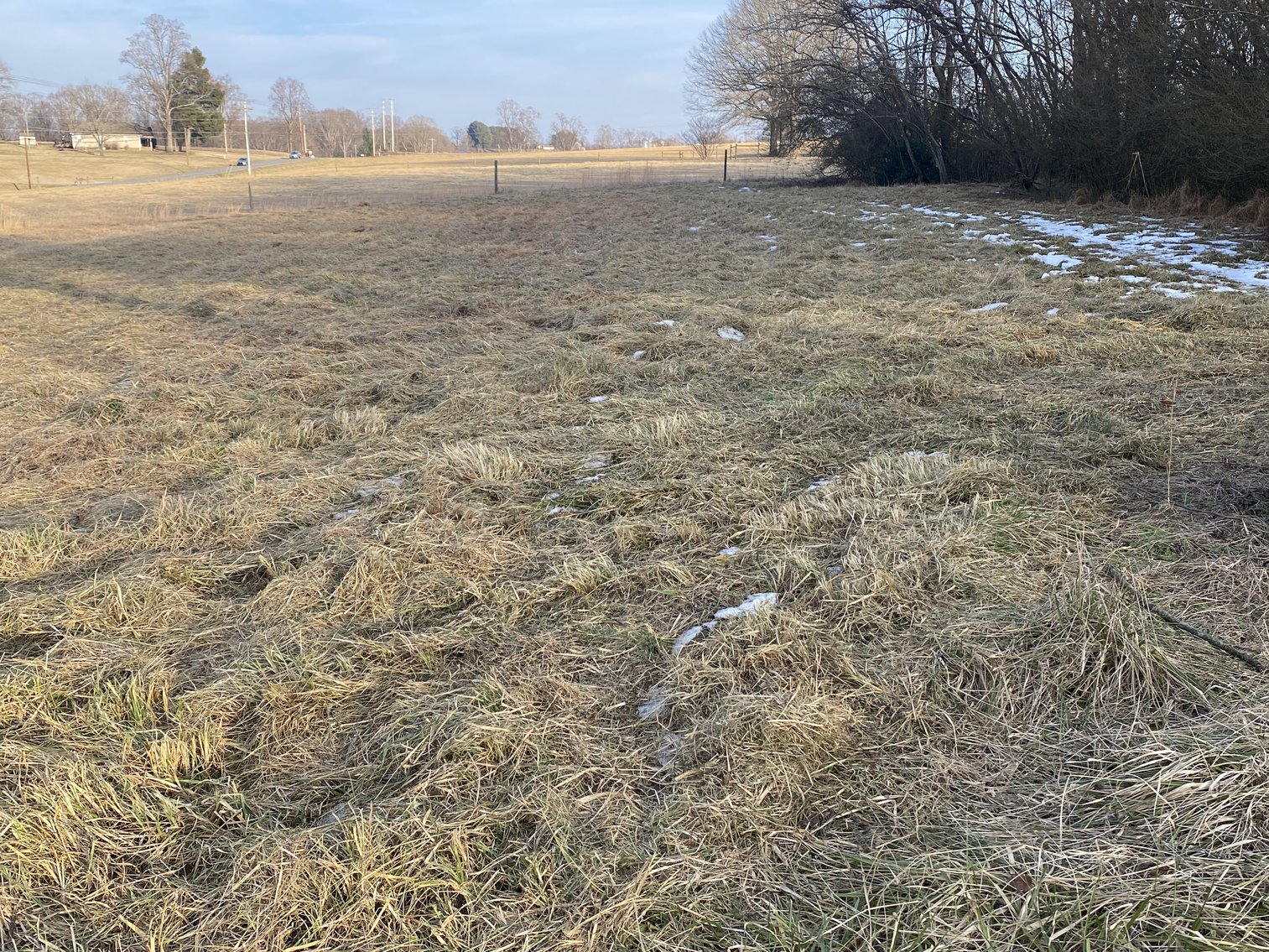 Image for Real Estate Auction - 23± Acres in Dobson, NC