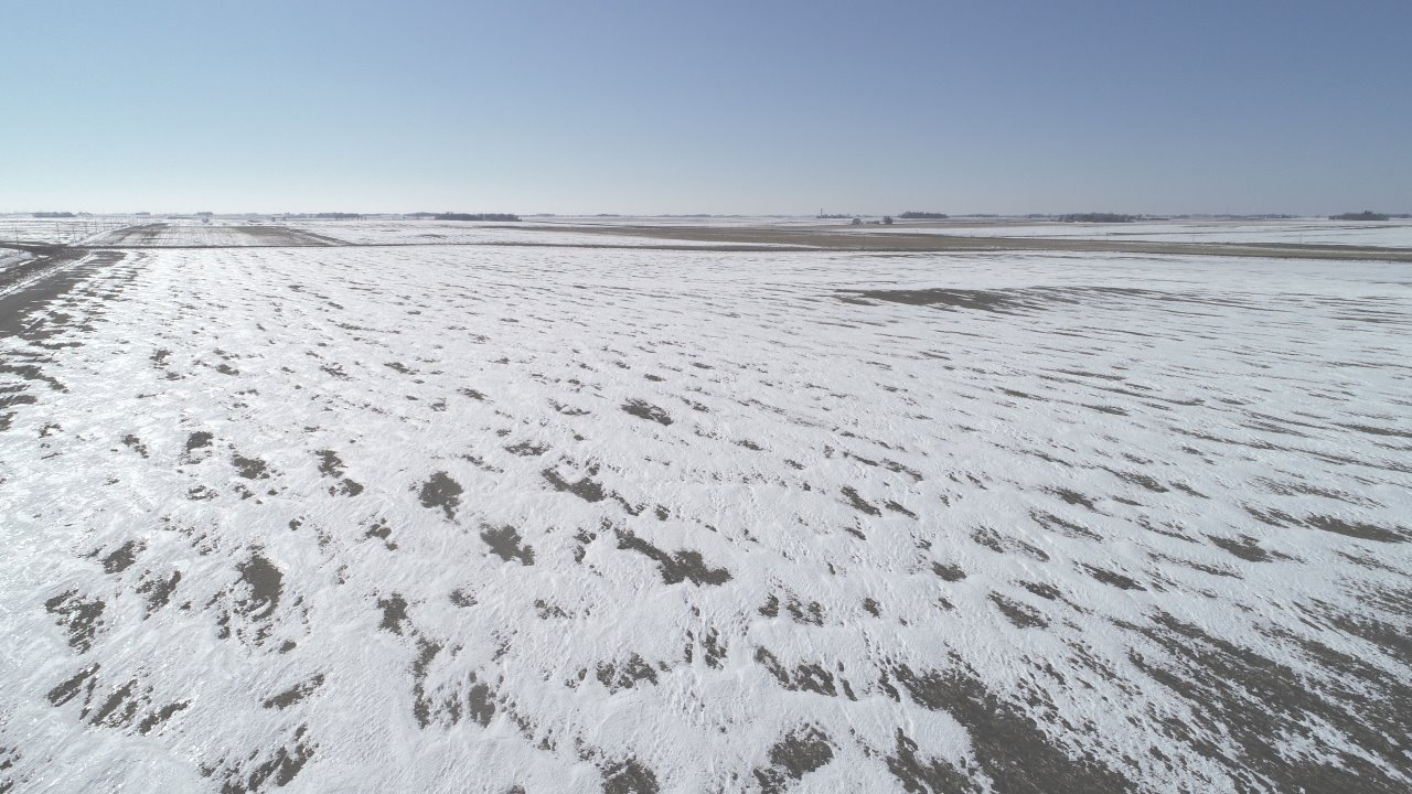 Pocahontas County, Iowa Land Auction!