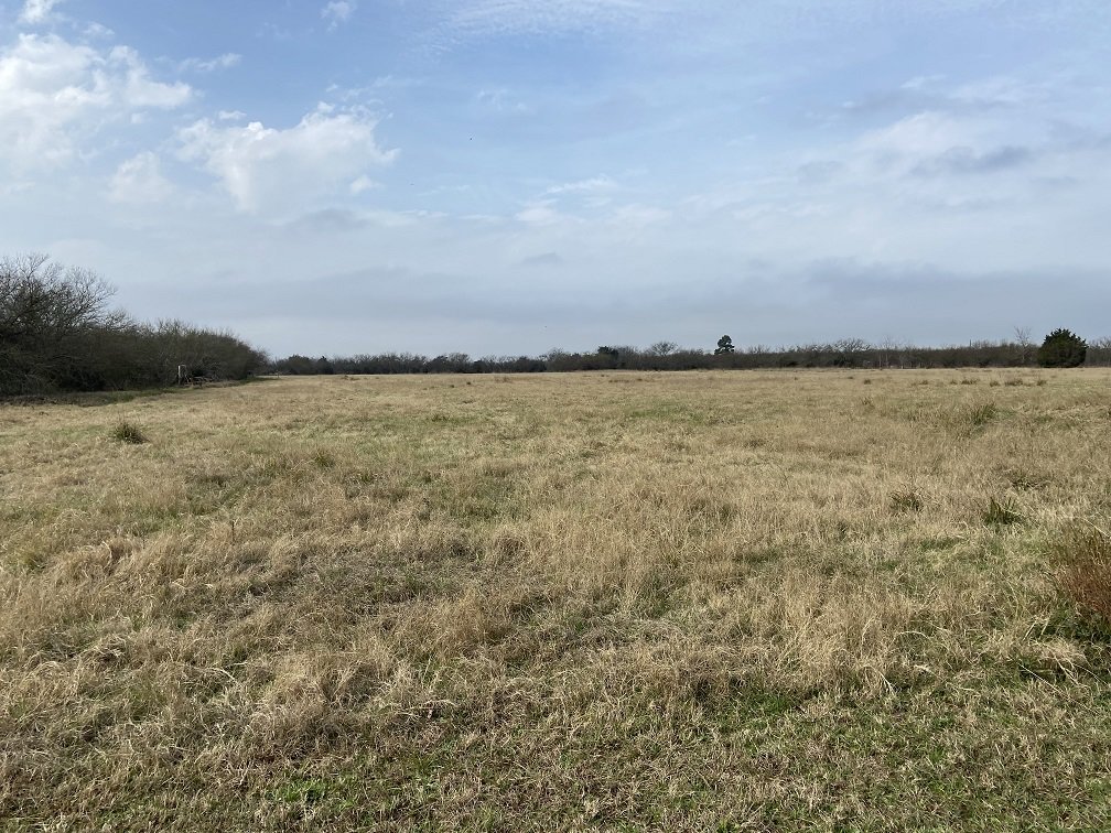 Image for 869 Witte Road, Bellville, TX 77418, Austin County