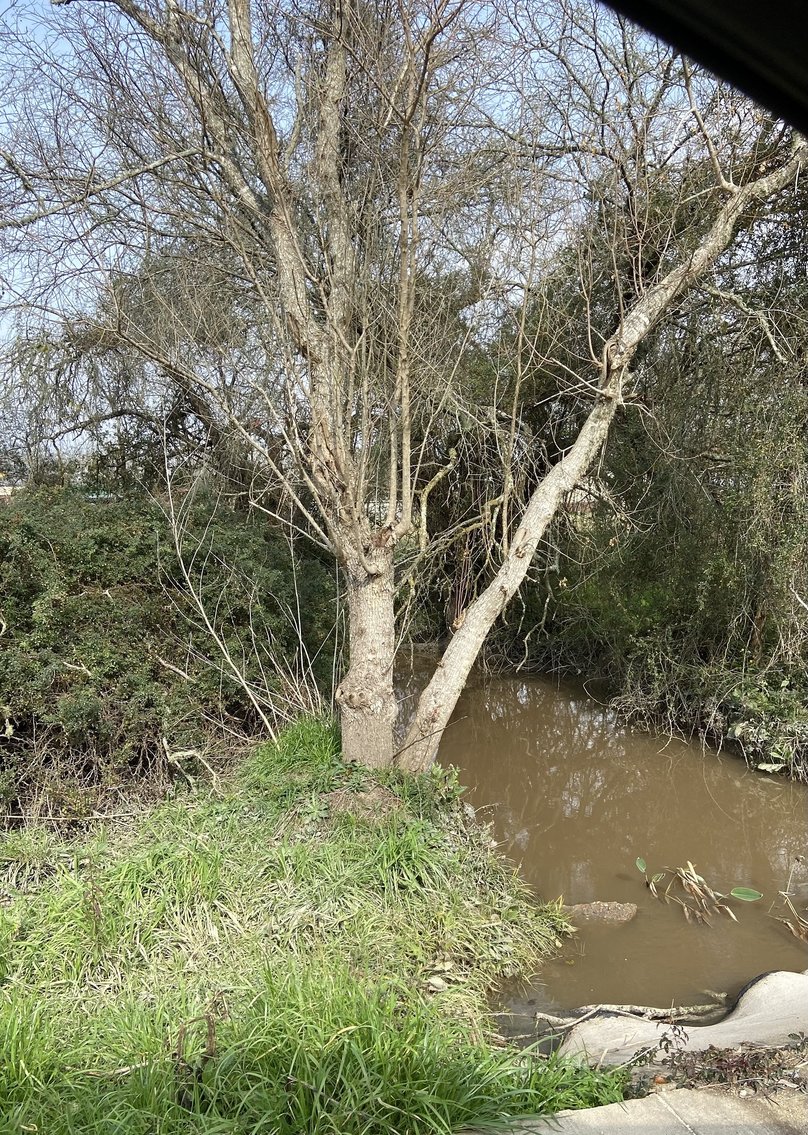 Image for 869 Witte Road, Bellville, TX 77418, Austin County