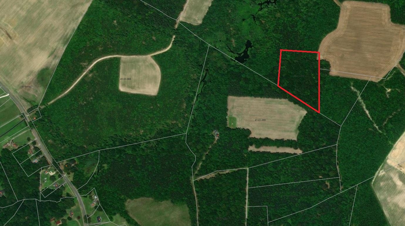 Image for April 5th - April 12th - Isle of Wight, City of Newport News, Southampton County Tax Auction