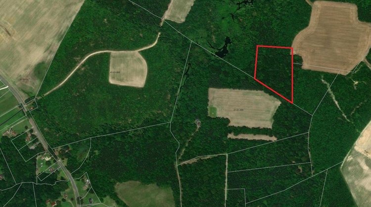 Image for April 5th - April 12th - Isle of Wight, City of Newport News, Southampton County Tax Auction