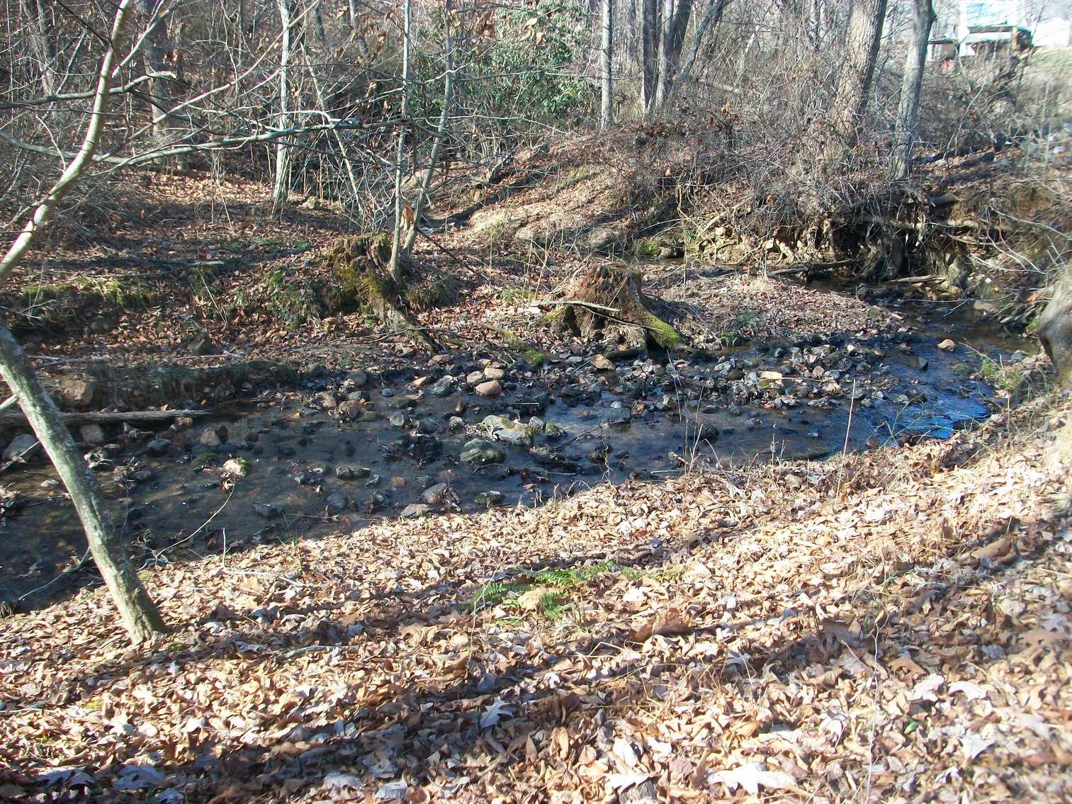 Image for Absolute Trustee Auction