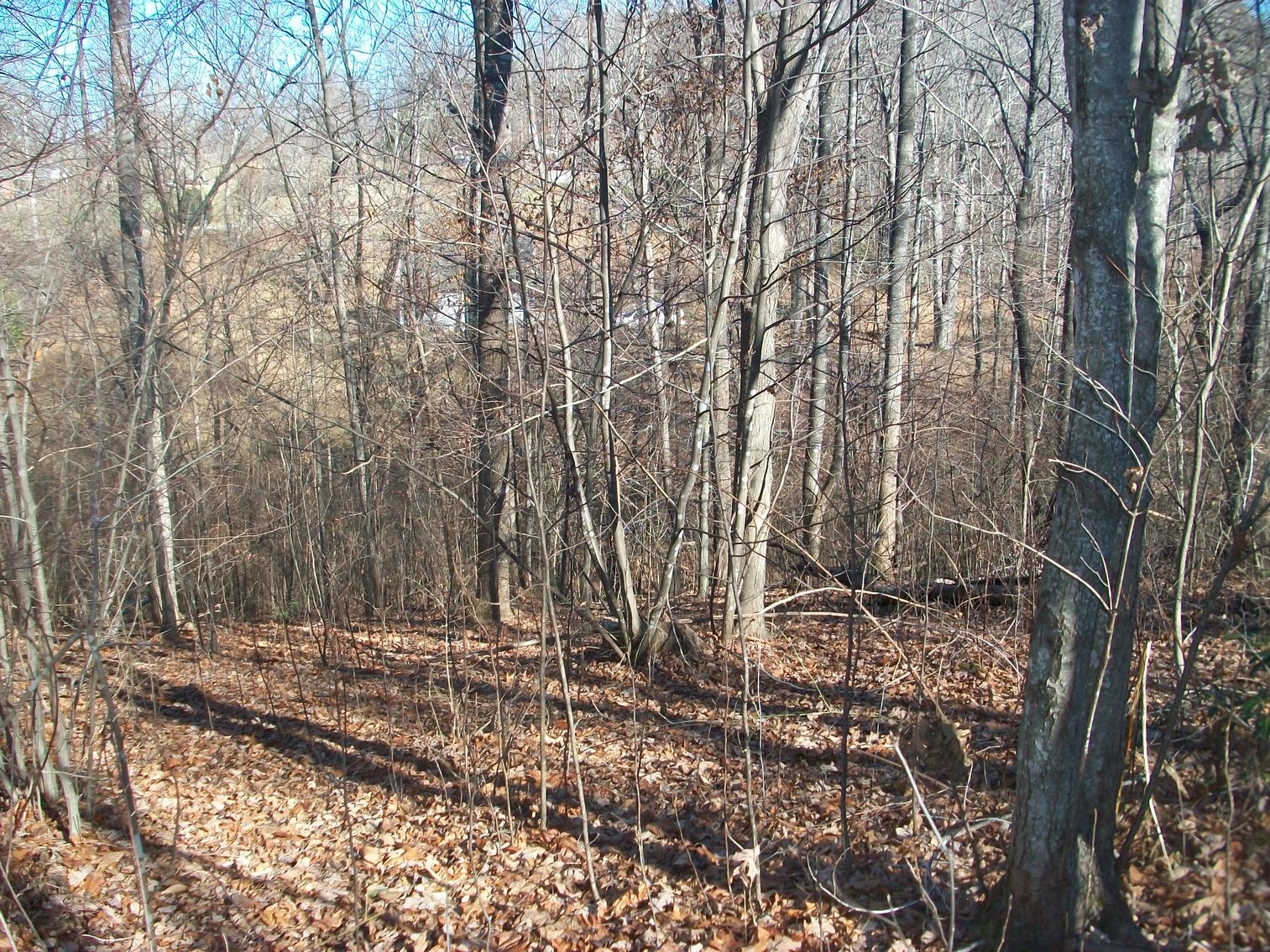 Image for Absolute Trustee Auction