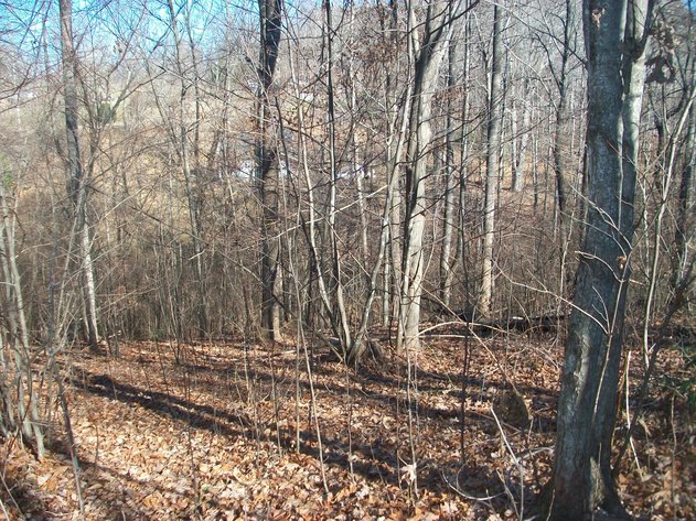 Image for Absolute Trustee Auction