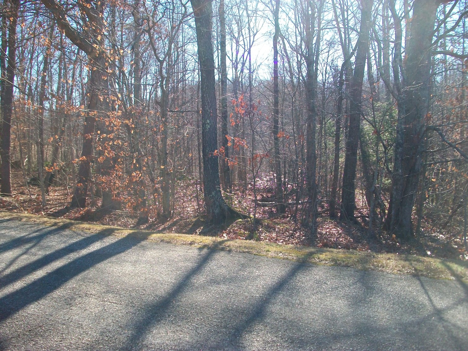 Image for Absolute Trustee Auction