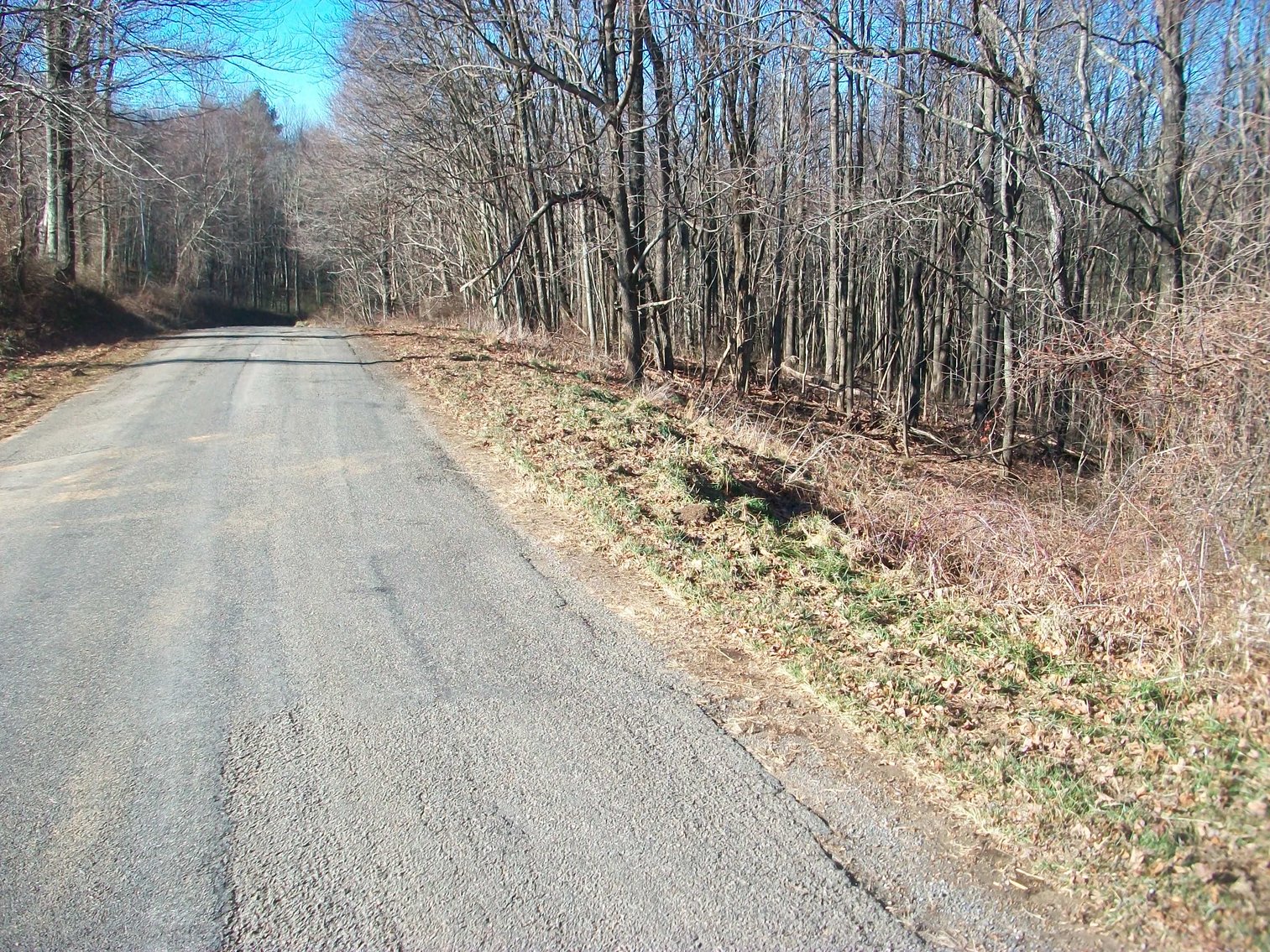 Image for Land Auction