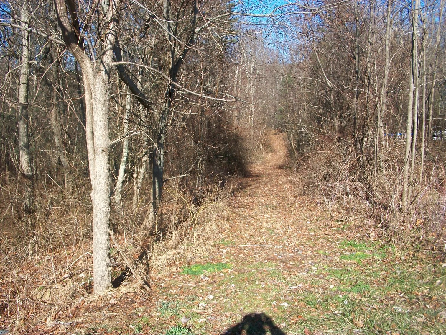 Image for Land Auction