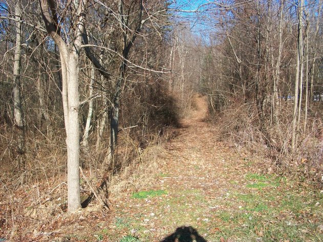 Image for Land Auction