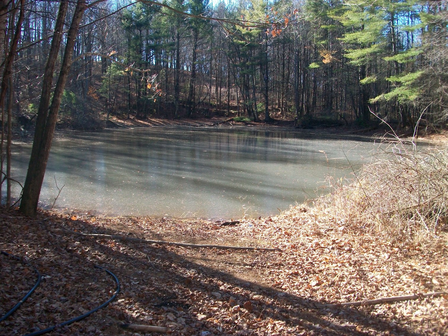 Image for Land Auction