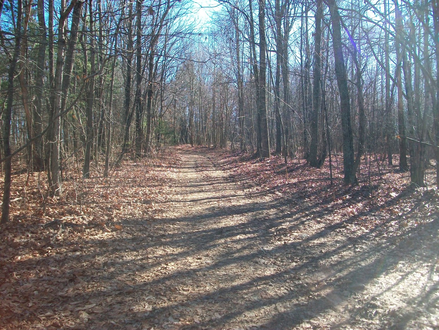 Image for Land Auction