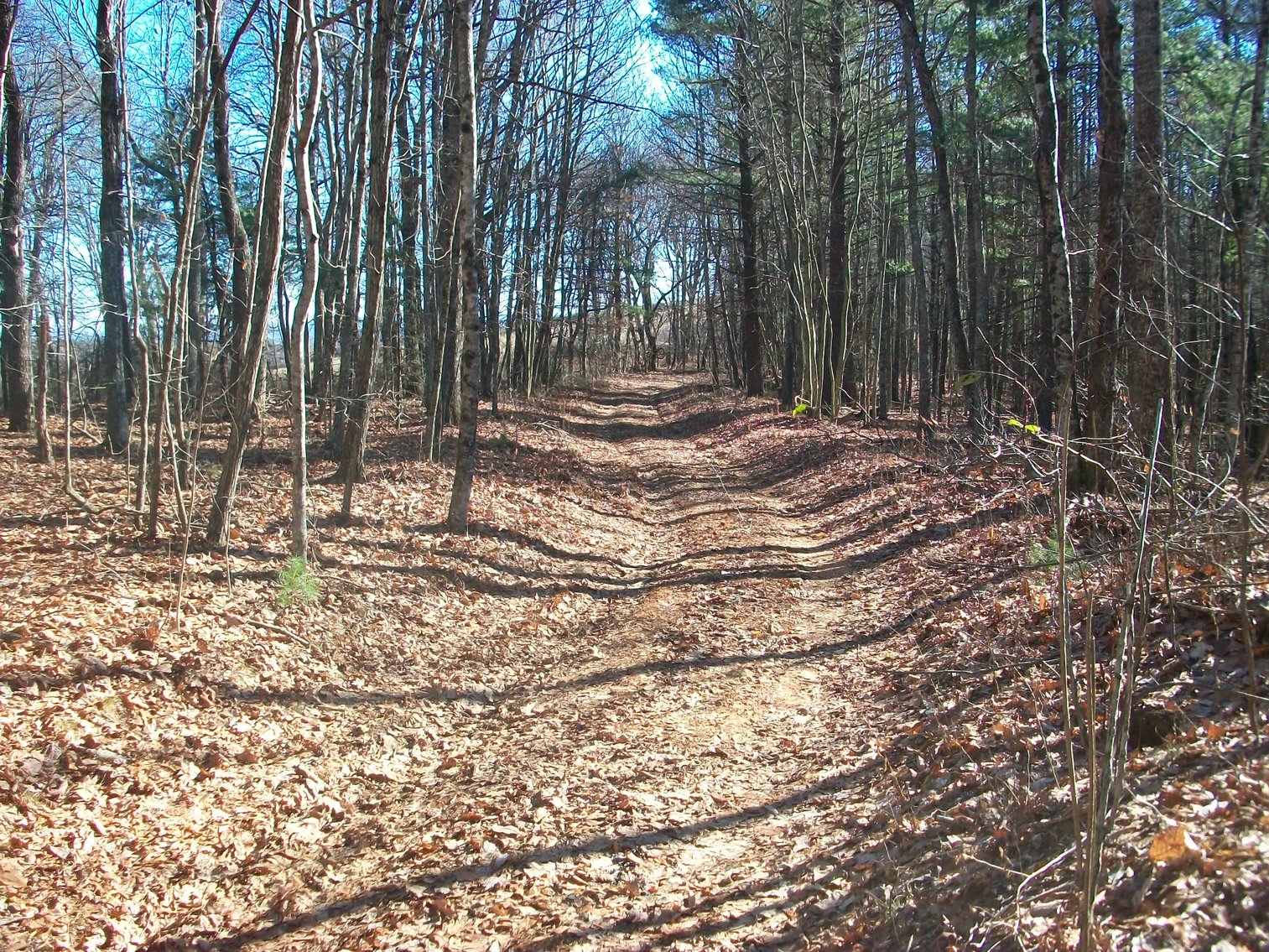 Image for Land Auction