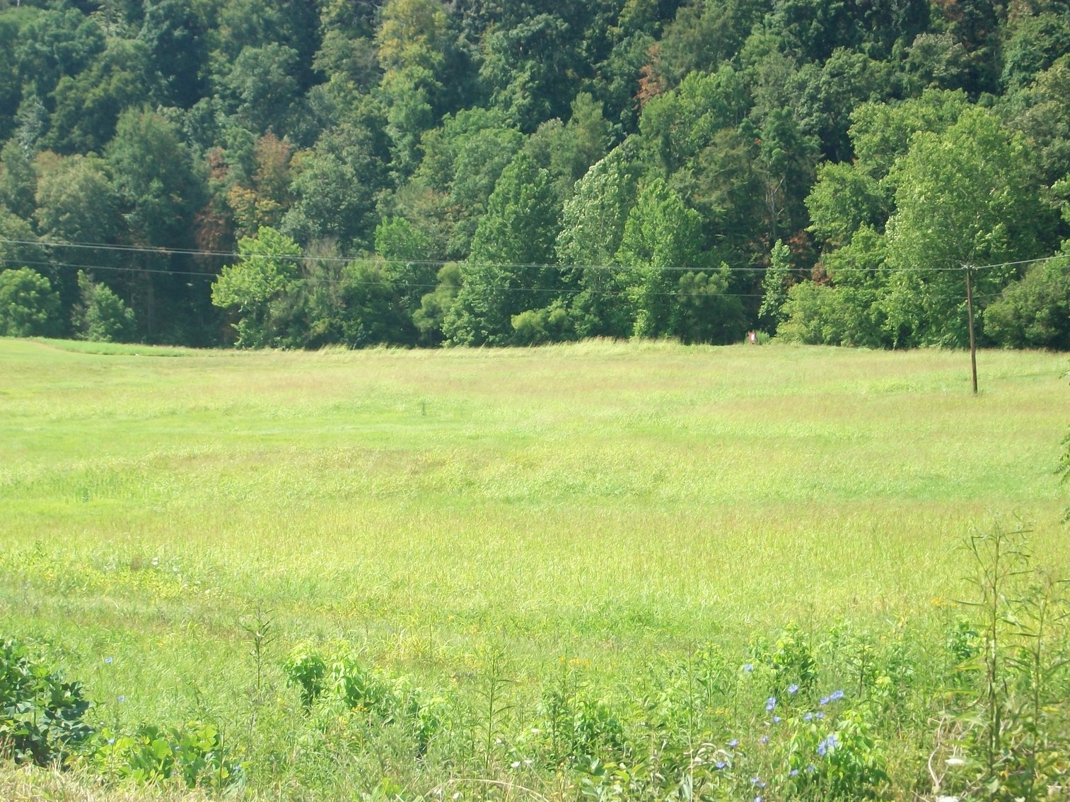 Image for Absolute  Foreclosure Auction - Arnoldsburg WV