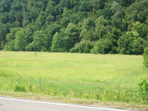 Image for Absolute  Foreclosure Auction - Arnoldsburg WV