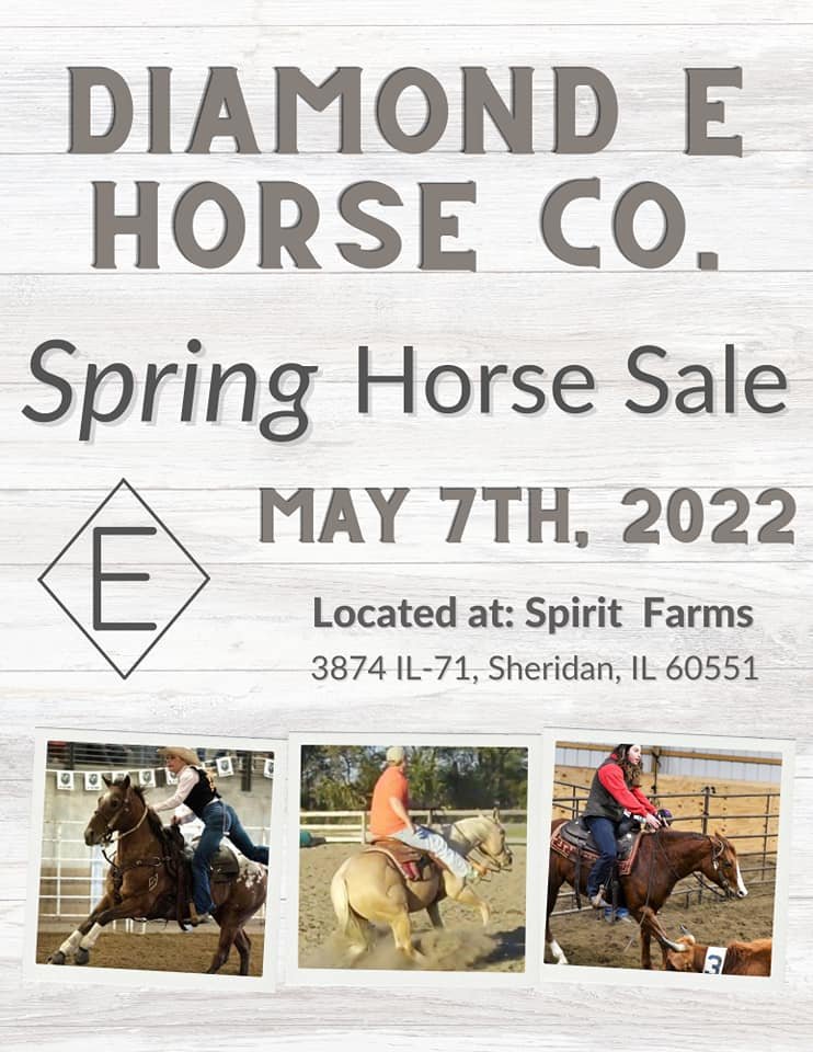 Image for Diamond E Horse Co. Spring Horse Sale  May 7th  Sheridan, Illinois