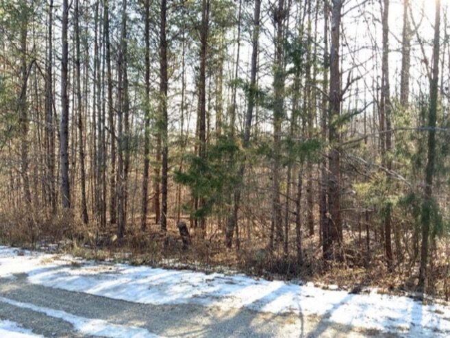 Image for Lot 5 & 6 on Pebble Lane, Reidsville, NC 27320