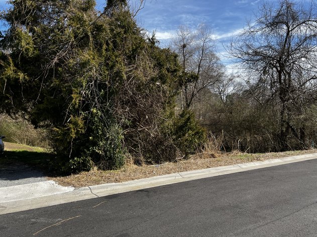 Image for March 2nd - March 22nd - Suffolk Tax Auction