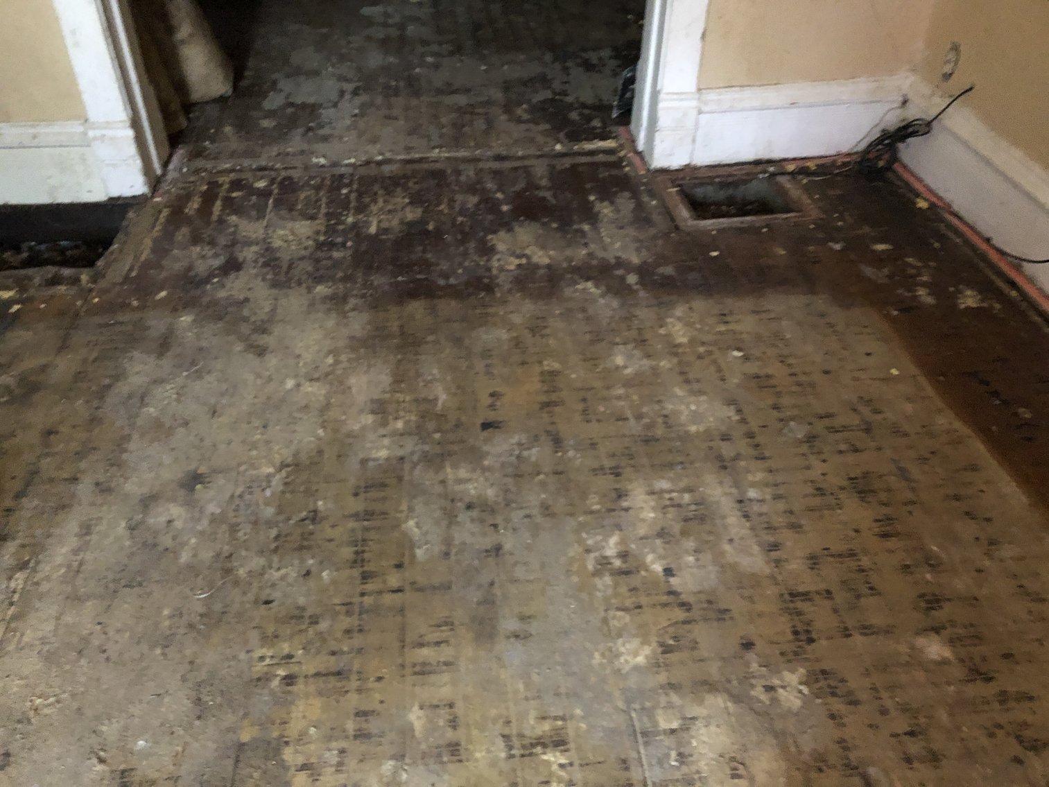 Image for 423 Langdon Street, Toledo, Ohio 43609