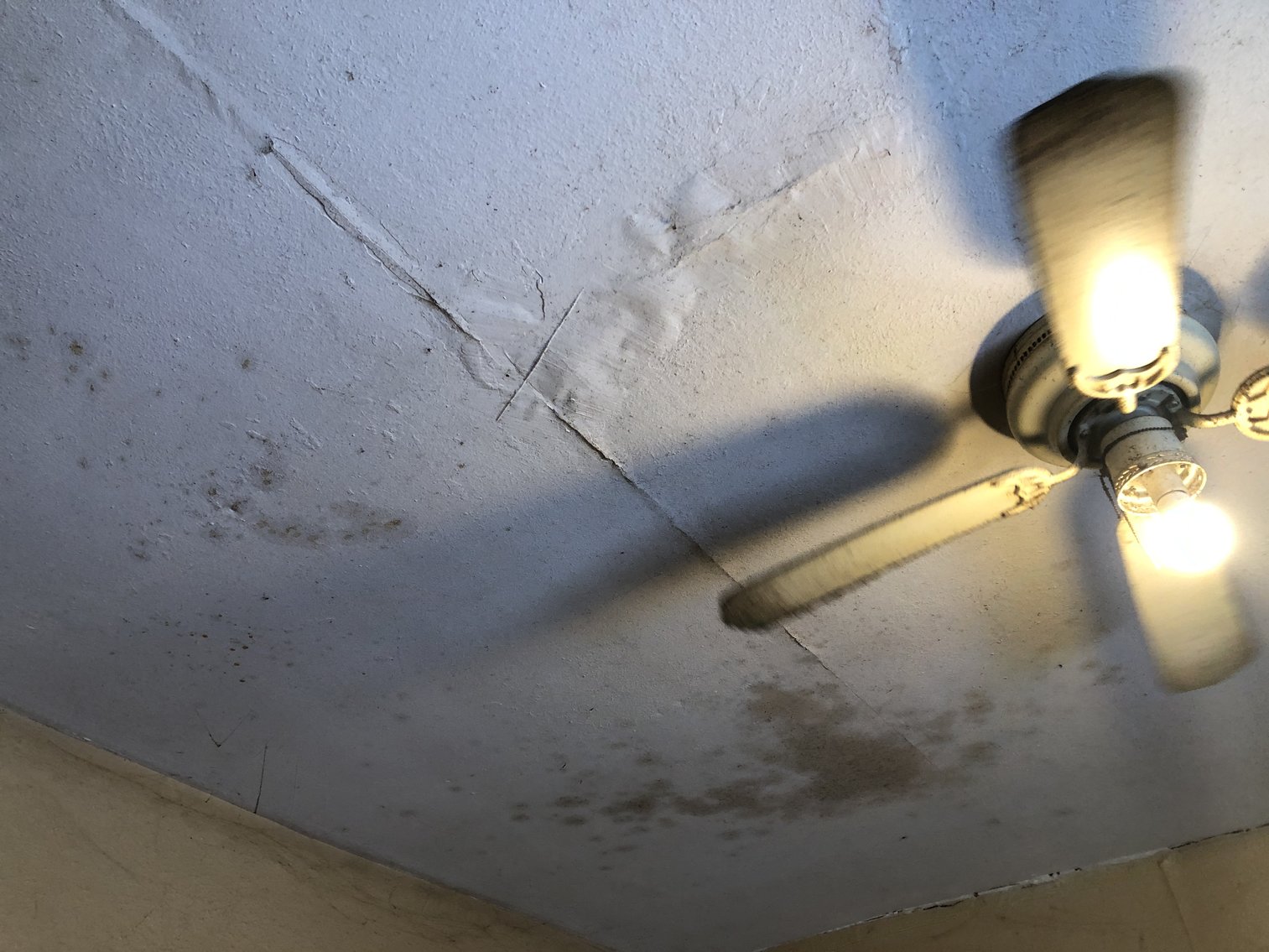 Image for 423 Langdon Street, Toledo, Ohio 43609