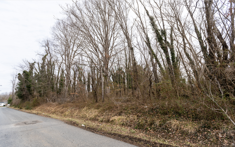 Image for Orange County, VA Tax Delinquent Sale of Real Estate