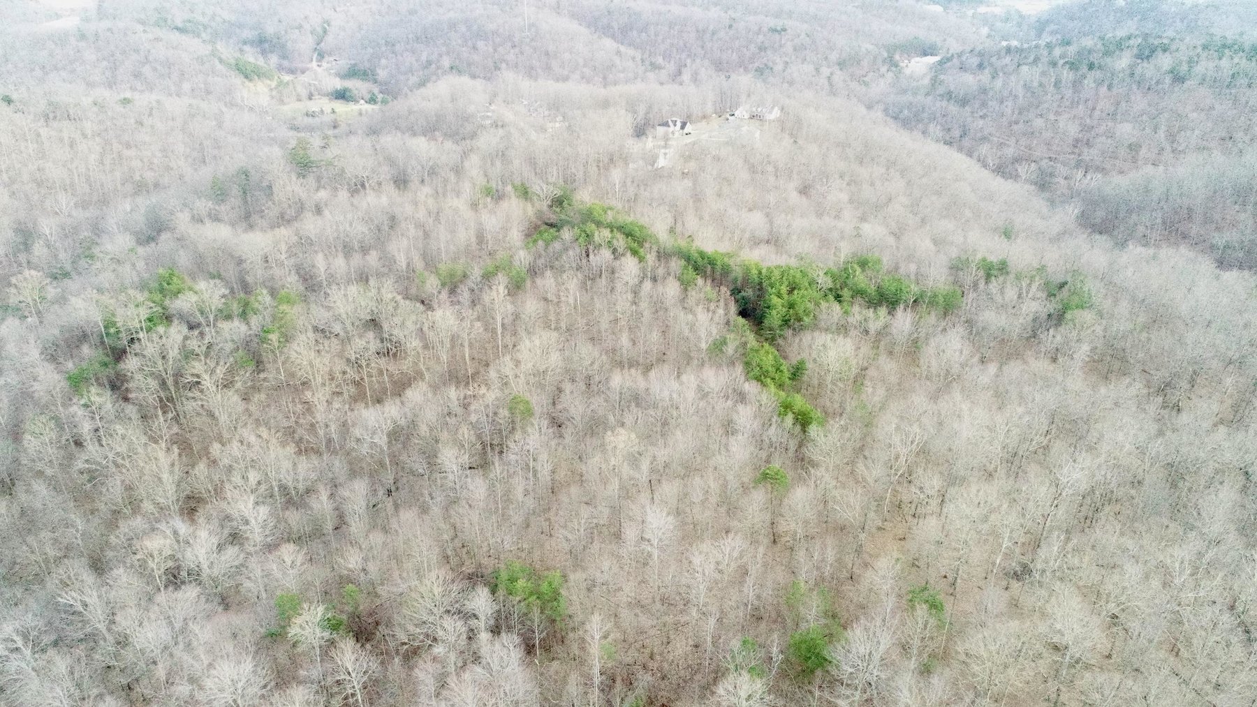 Image for SOLD $140,250 - 67 Prime Acres Selling to the Highest Bidder
