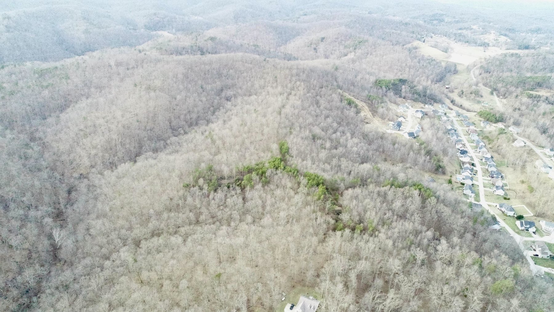 Image for SOLD $140,250 - 67 Prime Acres Selling to the Highest Bidder