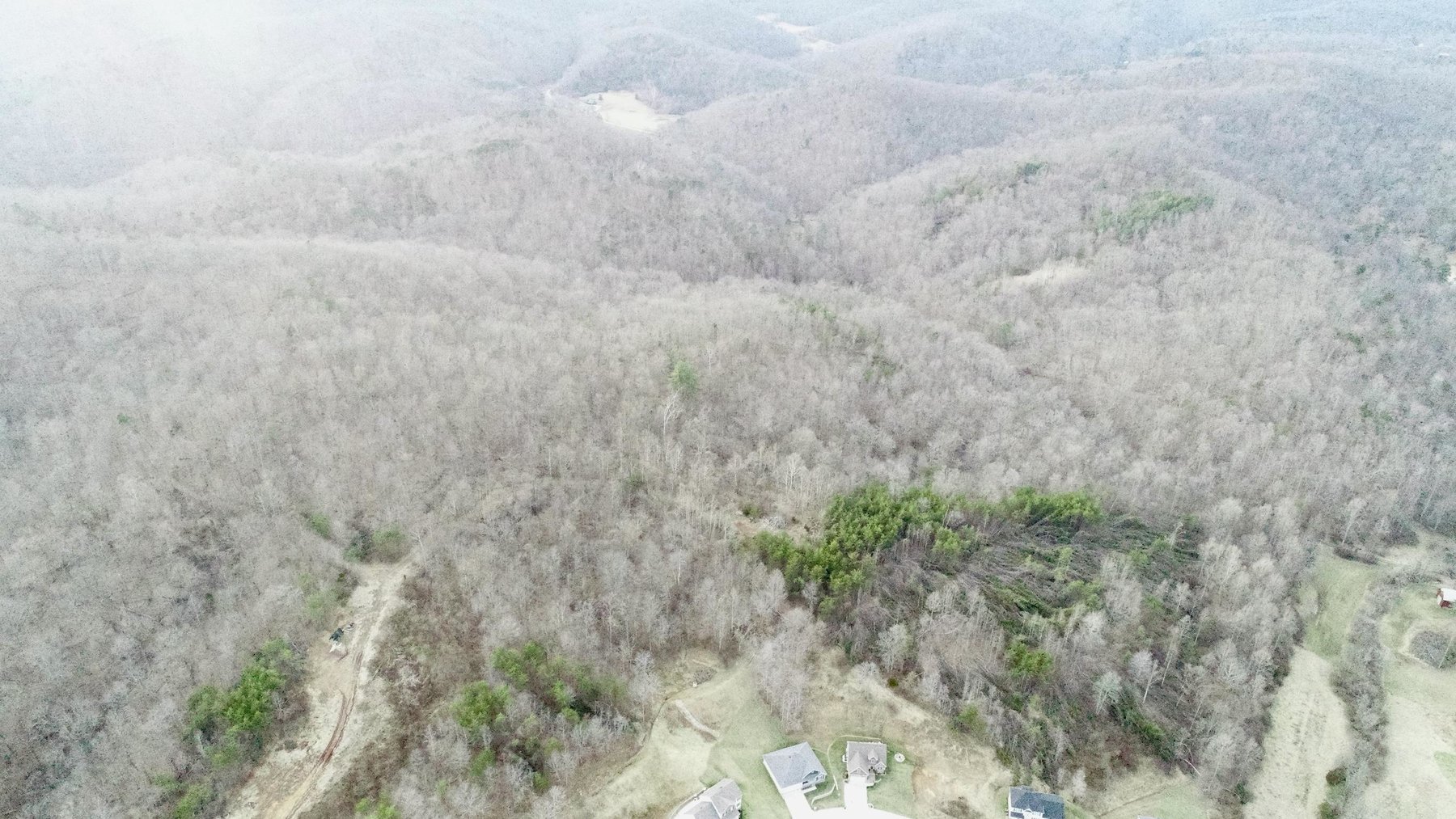 Image for SOLD $140,250 - 67 Prime Acres Selling to the Highest Bidder