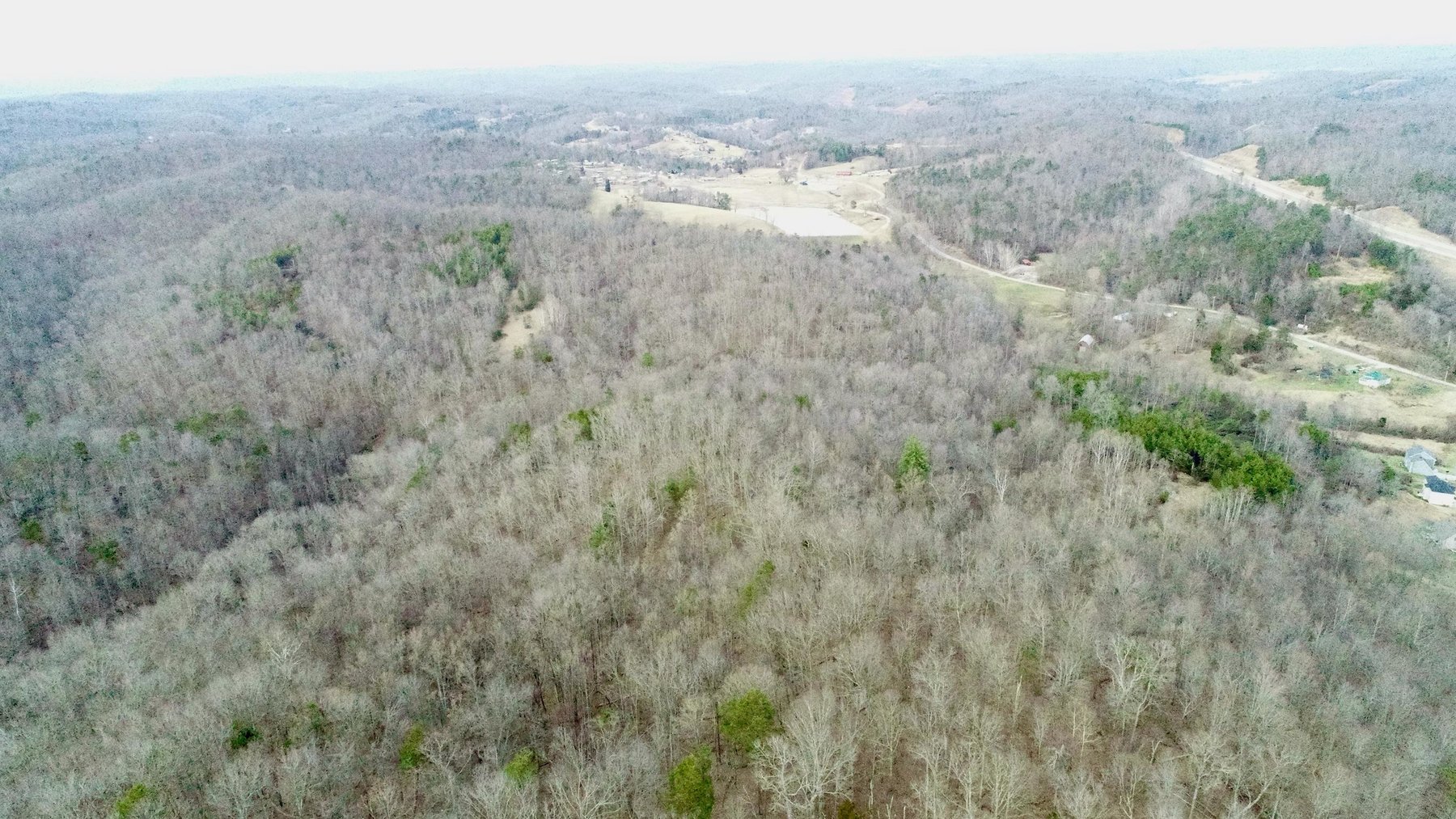 Image for SOLD $140,250 - 67 Prime Acres Selling to the Highest Bidder