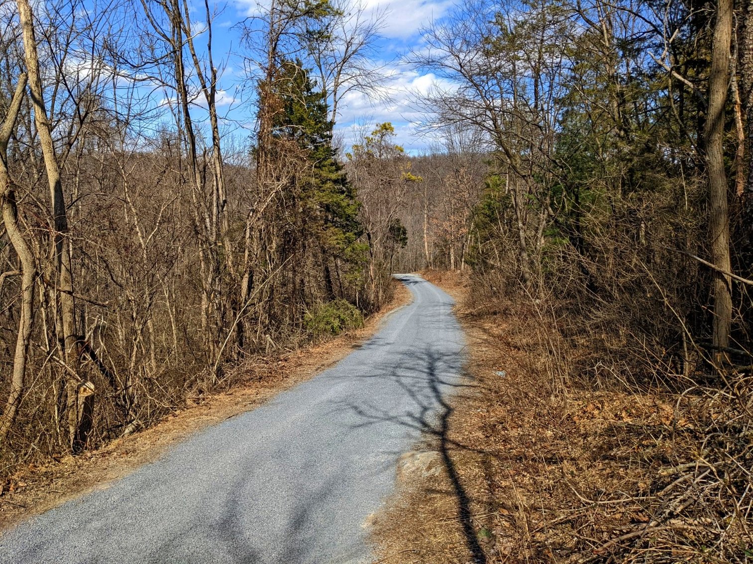 Image for Two Houses On 3.043 +/- Acres Near New Market VA