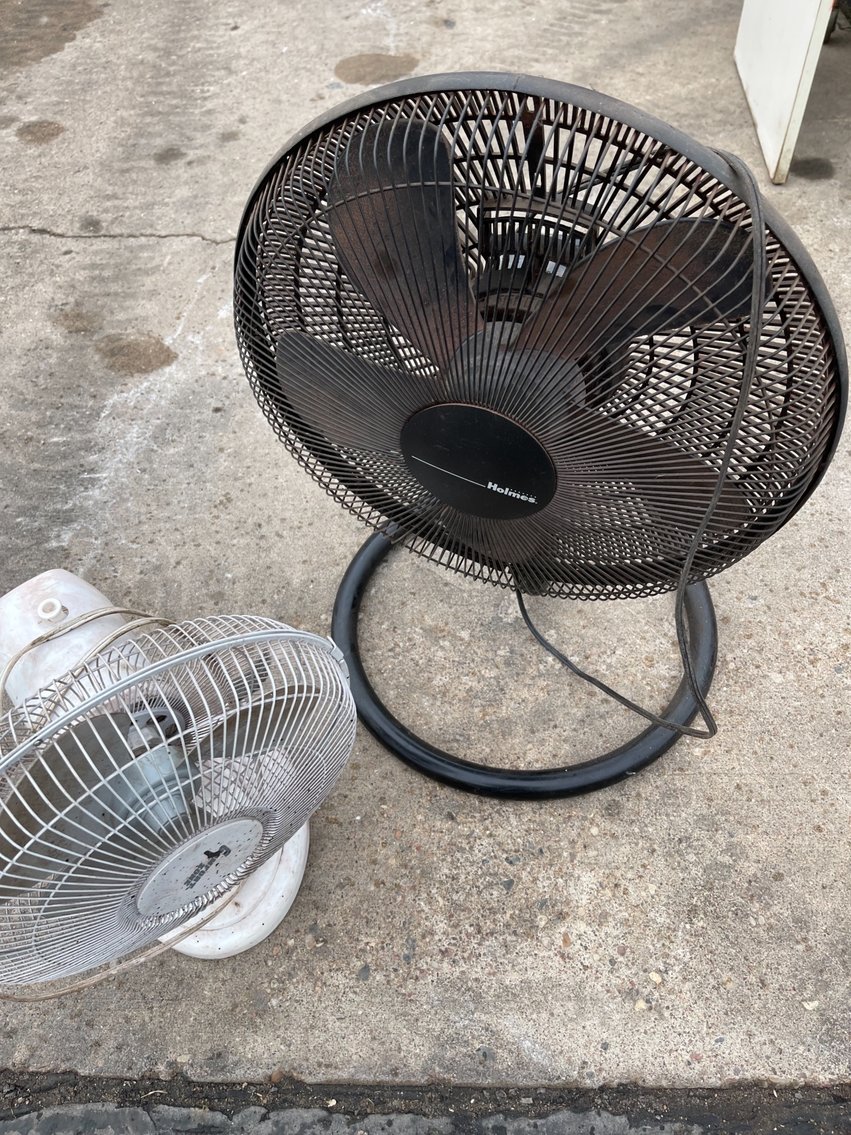 Fans