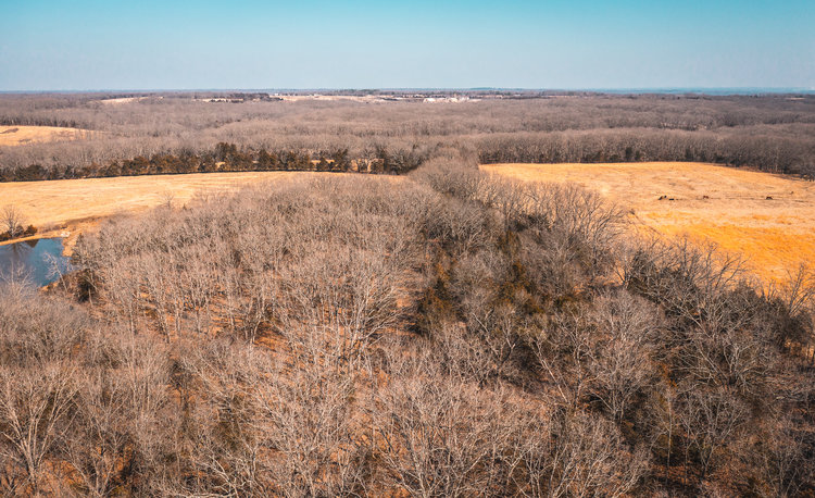 Image for Voss Timber Sale