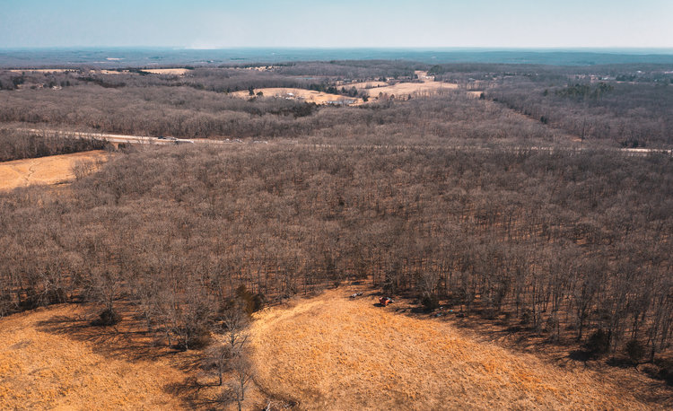 Image for Voss Timber Sale