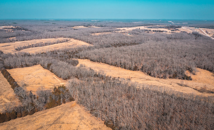 Image for Voss Timber Sale