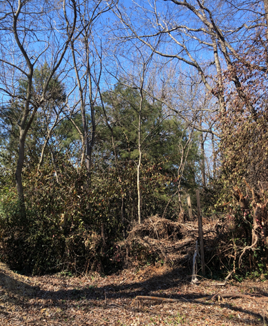 Image for Henrico County, VA Tax Delinquent Sale of Real Estate